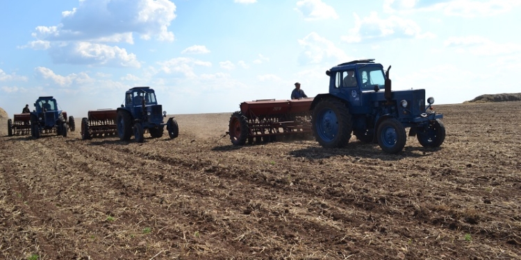 На Николаевщине 441 агроформирование с начала года превратилось в 2657 новых хозяйств