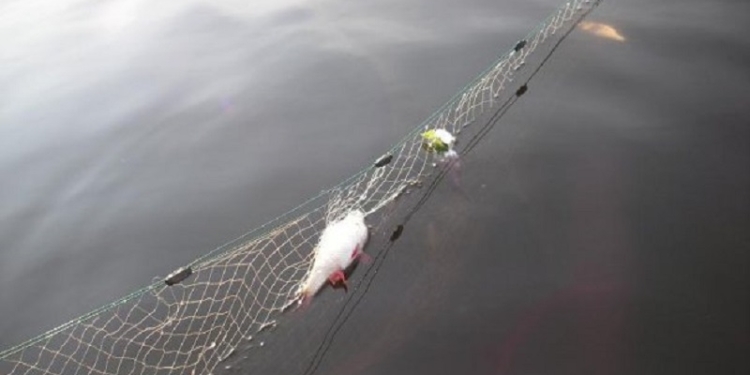 Промышлявшие у Новой Одессы рыбные браконьеры оказали сопротивление сотрудникам Николаеврыбоохраны