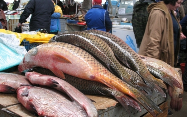 На Центральном рынке изъяли 103 кг свежей рыбы