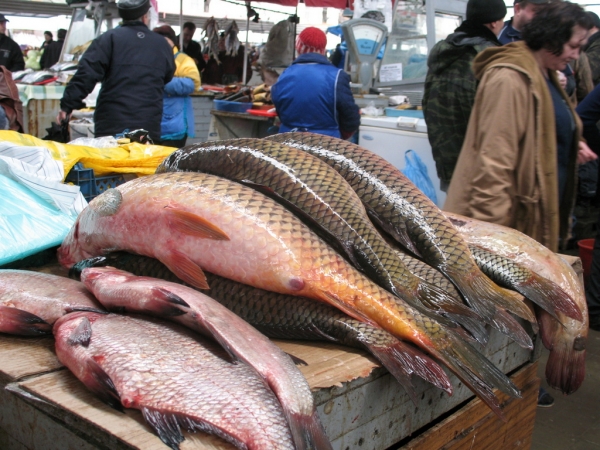 На Центральном рынке изъяли 103 кг свежей рыбы 1