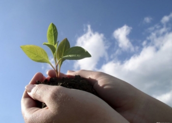 «Зробимо Україну чистою! – 2015» и «ECO-LIFE»: субботу николаевцев зовут провести интересно и с пользой