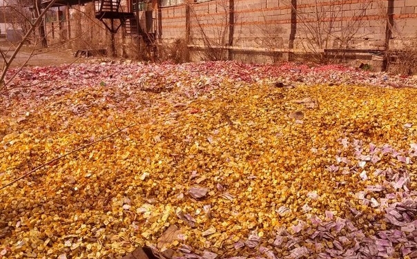 В Донецке на улицу выбросили тысячи конфет