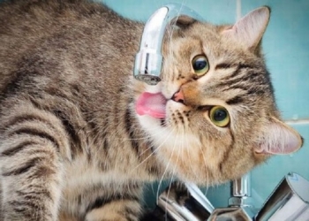 Сегодня без воды остались два крупных микрорайона Николаева