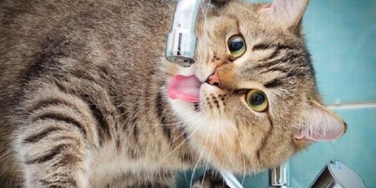 Сегодня без воды остались два крупных микрорайона Николаева