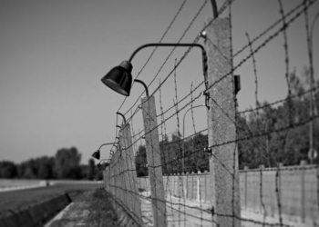 В Запорожье обнаружили бывший советский концлагерь польских военнопленных