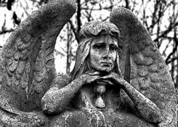 Краевед Татьяна Губская презентовала новую книгу о Николаевском некрополе