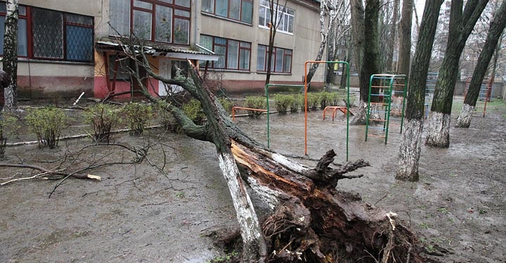 Вход в детский сад «Сказка» уже разблокирован
