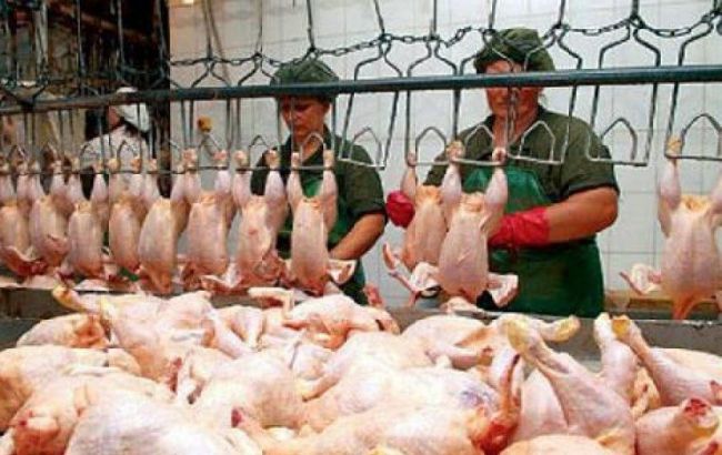 ГПУ возбудила дело по факту продажи в Украине более 500 тонн зараженной сальмонеллезом курятины 1