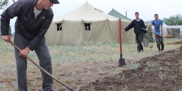 Николаевские военкомы готовятся к учениям по теробороне: готовят учебную базу для резервистов и разворачивают полевые лагеря