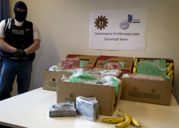 В магазины Берлина вместо бананов доставили 400 кг кокаина