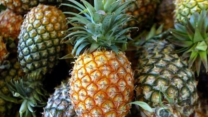 Полиция Испании обнаружила 200 кг кокаина в ананасах