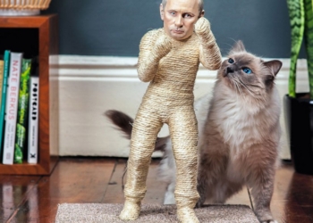 Когтеточка для котов “Путин” и…одноименный туалетный лоток