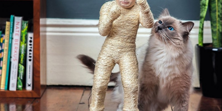 Когтеточка для котов “Путин” и…одноименный туалетный лоток