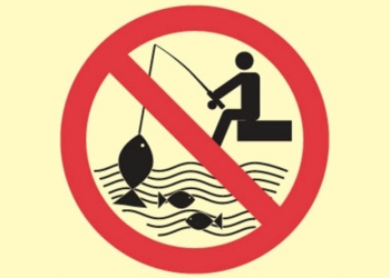 В Николаевской области установлен нерестовый запрет на вылов бычка и камбалы-калкана