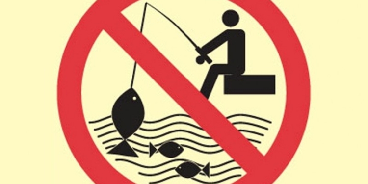 В Николаевской области установлен нерестовый запрет на вылов бычка и камбалы-калкана