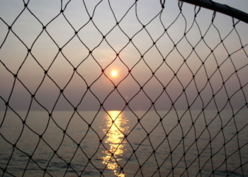 На Днепро-Бугском лимане пограничники отдела «Очаков» задержали браконьера