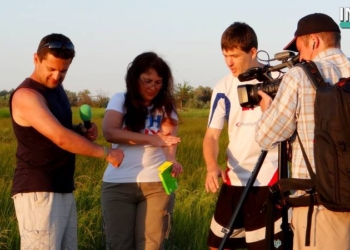 Тестируем средства защиты от комаров