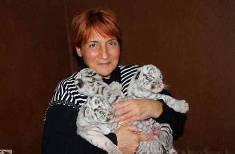 Директор Николаевского зоопарка Владимир Топчий просит наградить двух сотрудников Тбилисского зоопарка, погибших при исполнении служебных обязанностей 2