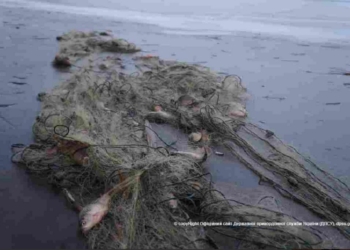 В Очаковском районе пограничники «поймали» 400 м сетей. И браконьера тоже