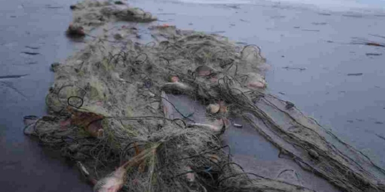 В Очаковском районе пограничники «поймали» 400 м сетей. И браконьера тоже