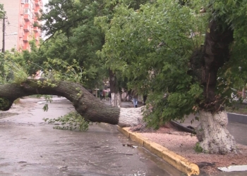Непогода нынче в моде? Ливень Николаев почти пощадил
