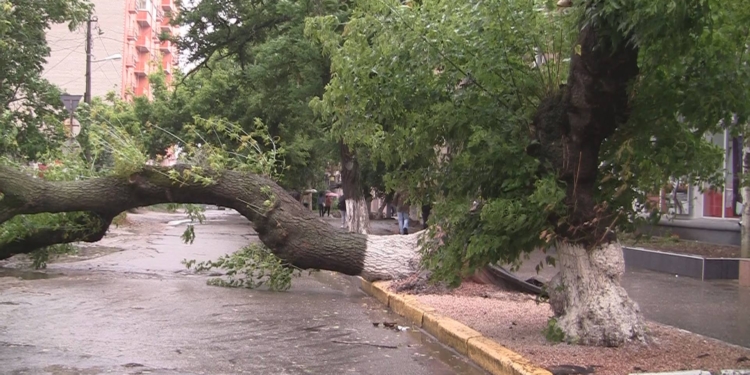 Непогода нынче в моде? Ливень Николаев почти пощадил