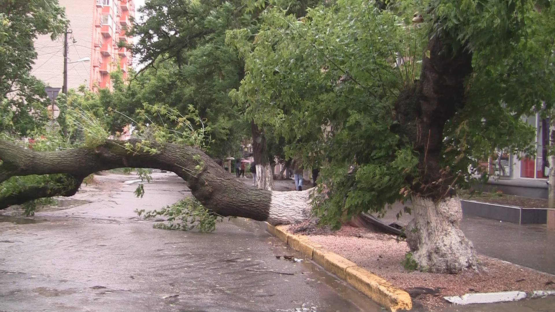 Непогода нынче в моде? Ливень Николаев почти пощадил