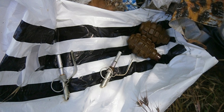 В Ракетном урочище женщина нашла пакет с гранатами