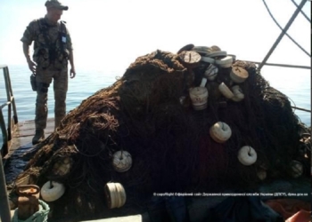 У Очакова поймали трех рыбаков, выловивших 12 осетровых. Рыбу отпустили, браконьеров – нет