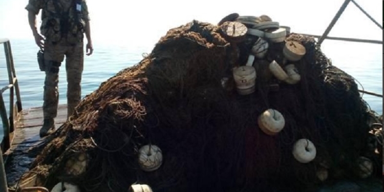 У Очакова поймали трех рыбаков, выловивших 12 осетровых. Рыбу отпустили, браконьеров – нет