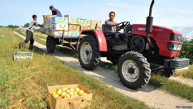 Китай может получить более 100 тыс. га в Забайкалье
