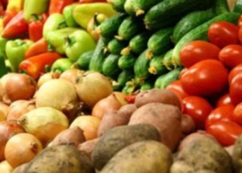 В Николаевской области реализуют израильско-канадский проект по развитию овощеводства