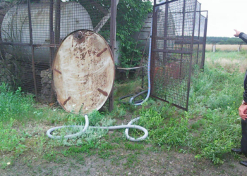 На Николаевщине четверо неизвестных в масках ограбили фермерское хозяйство