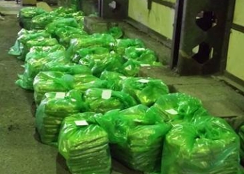 Новый рекорд СБУ: в Одессе задержана партия героина весом в 500 кг