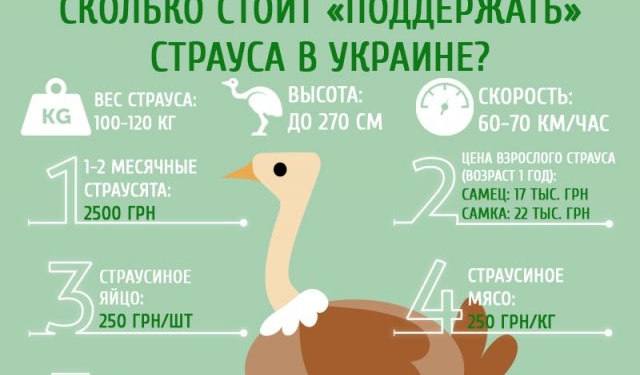 Сколько стоит «поддержать страуса» в Украине (инфографика)