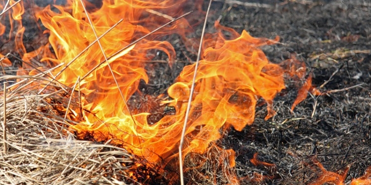 В Николаеве вчера активно горела сухая трава