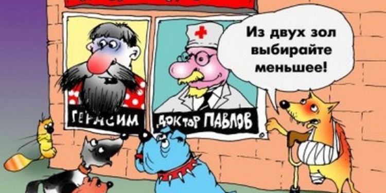 Потенциальные кандидаты в мэры Николаева рассказали о своих намерениях