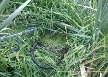 На границе с РФ пограничники нашли подпольный трубопровод