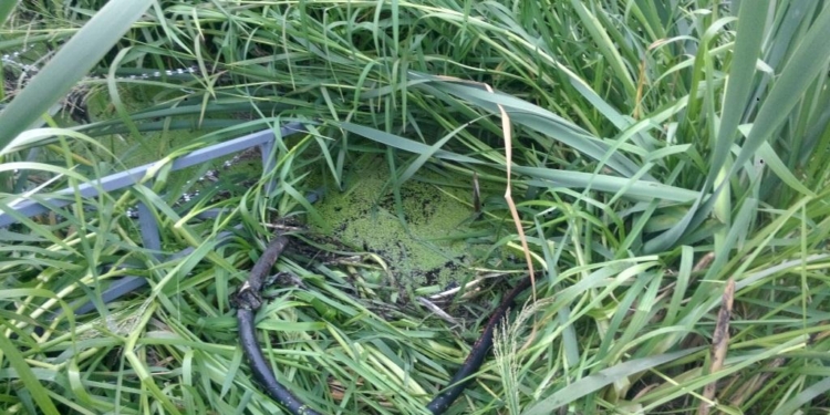 На границе с РФ пограничники нашли подпольный трубопровод