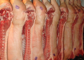 В Крым не пустили николаевскую свинину