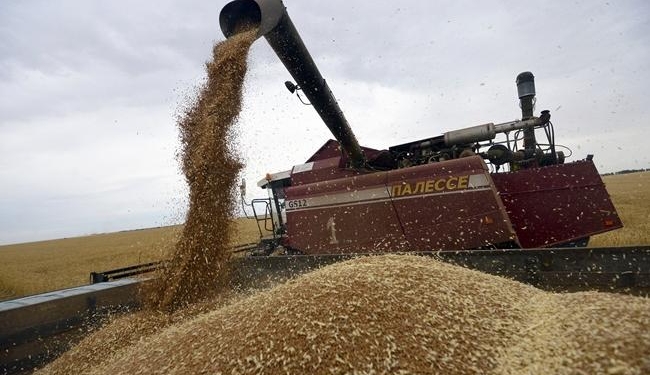 В этом году ожидается рекордный экспорт зерна. “Укрзализныця” обещает содействовать аграриям