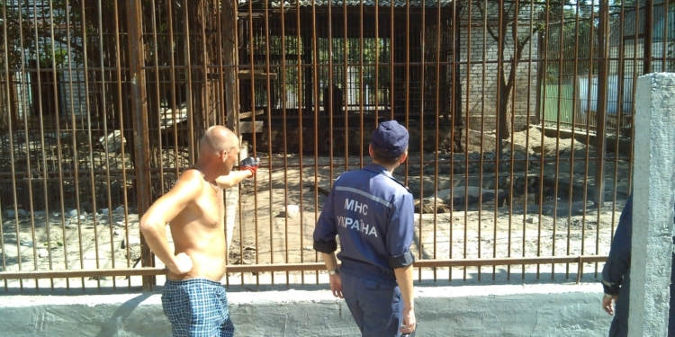 ЧП в Херсоне. Из-за исчезнувших медведей эвакуировали 400 отдыхающих