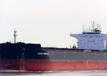 За полгода в Николаевский порт зашло рекордное количество судов