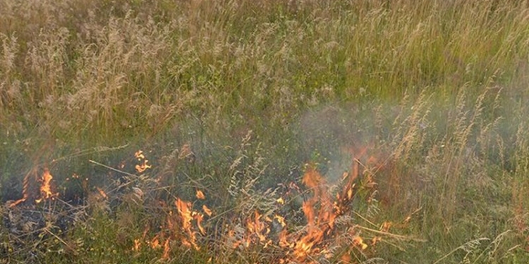 На территории Николаевские области за неделю – 47 пожаров на открытой территории