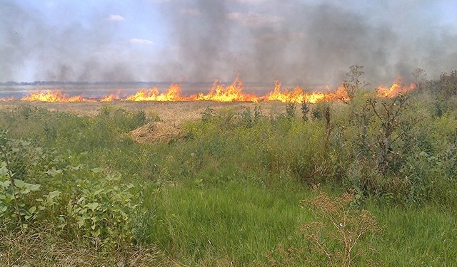 В Николаевском районе сгорели 40 тонн тюкованной соломы и 4 га стерни