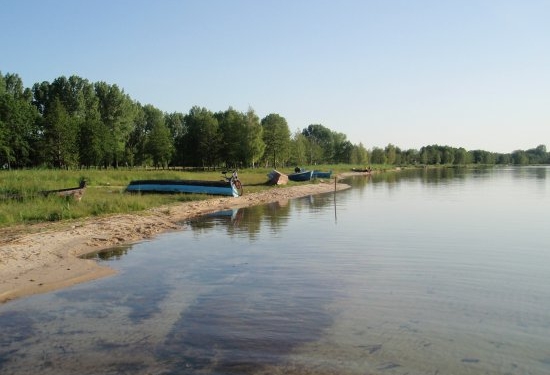 Ночью на Свитязе бушевала буря, упало 50 деревев, придавило туристов