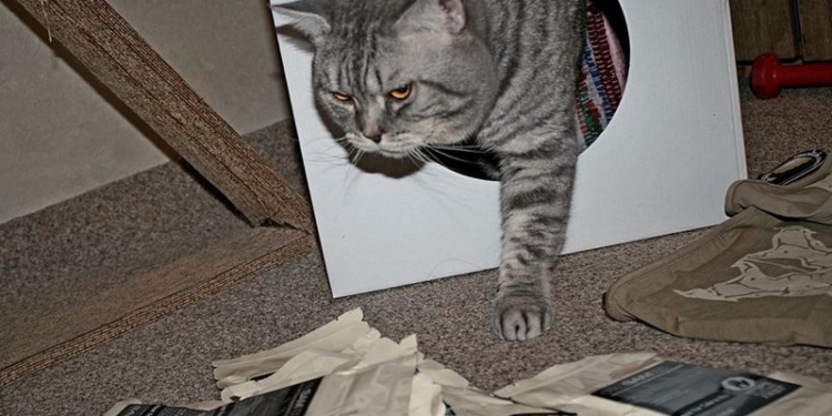 Очаковским «морским котикам» волонтеры передали магазины на 45 патронов и современное кровоостанавливающее средство