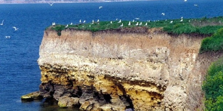 В Николаевской области впервые отметили День работника природно-заповедного дела