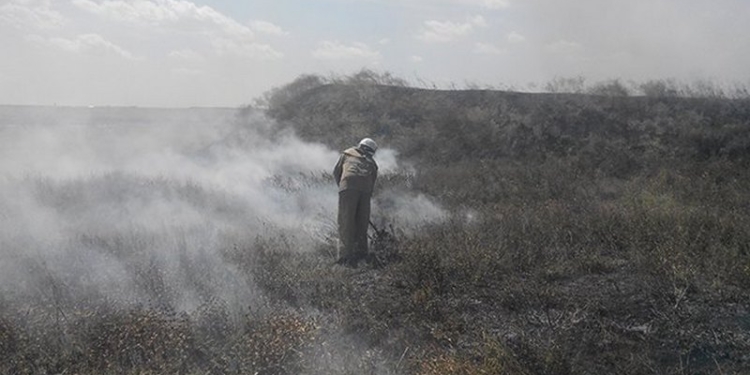 В Николаевской области за сутки 9 раз горело на открытой территории общей площадью 0,3 га