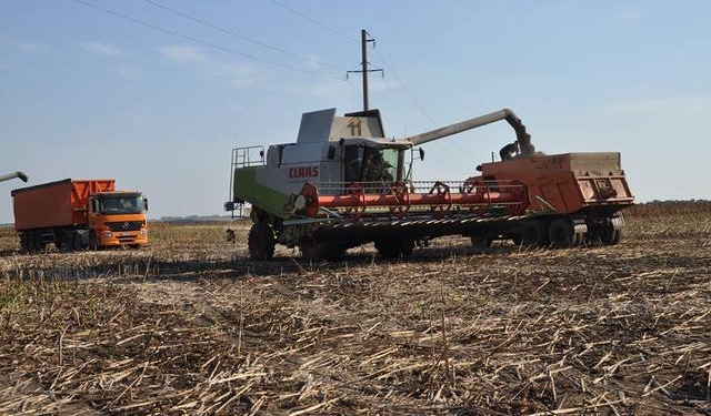 Депутатская наглость или битва за урожай? Народный фронт просит прокуратуру разобраться с “Агрофирмой Корнацких”